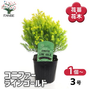 yz Rjt@[ CS[h y  3 z  jt NX}Xc[ɂANX}X[XƂĂgp܂