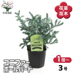 yz Rjt@[ {[o[h y  3 z  jt NX}Xc[ɂANX}X[XƂĂgp܂