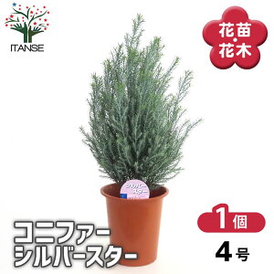 yz Rjt@[ Vo[X^[ y  4^1 z  jt NX}Xc[ɂANX}X[XƂĂgp܂