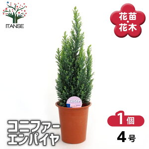 yz Rjt@[ GpC y  4^1 z  jt NX}Xc[ɂANX}X[XƂĂgp܂