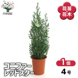 yz Rjt@[ bhX^[ p[vtFU[ y  4^1 z  jt NX}Xc[ɂANX}X[XƂĂgp܂