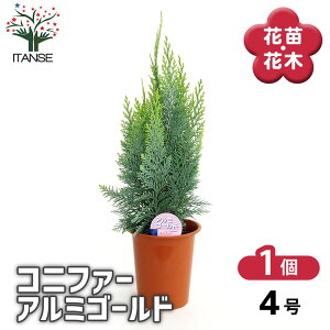 yz Rjt@[ A~S[h y  4^1 z  jt NX}Xc[ɂANX}X[XƂĂgp܂