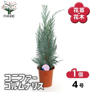 yz Rjt@[ RiX y  4^1 z  jt NX}Xc[ɂANX}X[XƂĂgp܂