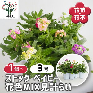 y}\N[|zzz XgbN xCr[ y ԕc 3 z ӂӂ }`bN t ԕc Ԃ̕c   ؉ ؂ Ԗ   o [ o z