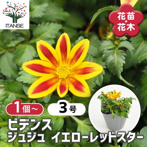 yz rfX WW CG[bhX^[ y ԕc 3 z rfX S[fGpCAAnbs[GpCArfXAEB^[RXX