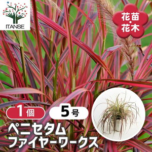 yz yjZ^ t@C[[NX y ԕc 5^1 z ԕc Ԃ̕c J[[t h K[fjO