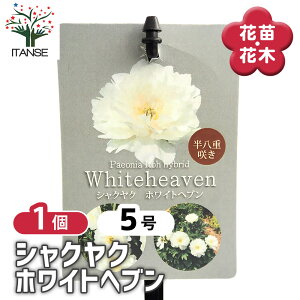 yz VNN zCgwu y Ԗؕc 5^1 z 䉖 V{c[ LO c c A K[fjO Ԓd 뉀