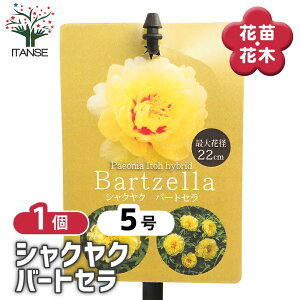 yz VNN o[gZ y Ԗؕc 4^1 z 䉖 V{c[ LO c c A K[fjO Ԓd 뉀