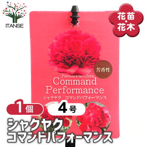 yz VNN R}hptH[}X y Ԗؕc 4^1 z 䉖 V{c[ LO c c A K[fjO Ԓd 뉀