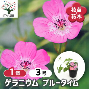 yz QjE u[^C y ԕc 3 z Qj[ tE\E R쑐  N h  |i ȉ ԐF tF ϊ ԕc Ԃ̕c  o