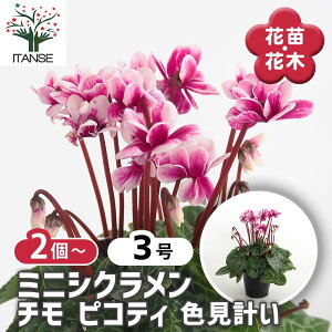 yz ~jVN ` sReB Fv y ԕc 3 z ԕc Ԃ̕c JKroi t[ ~̉ EB^[t[