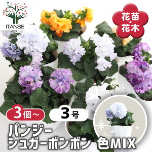 yz pW[ VK[{{FMIX y ԕc 3.5 z rI X~ ݂̉ ԕc ȒP͔| Ԃ̕c Ă₷ Ԓd  A t[ IV CeA  x_