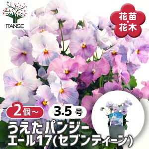 yz RNV pW[ErI G[17 (ZueB[) y ԕc 3.5 z rI X~ ݂̉ ԕc ȒP͔| Ԃ̕c Ă₷ Ԓd  A t[ IV