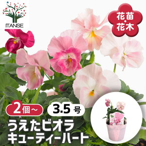 yz RNV pW[ErI L[eB[n[g y ԕc 3.5 z rI X~ ݂̉ ԕc ȒP͔| Ԃ̕c Ă₷ Ԓd  A t[ IV 