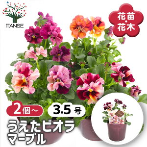 yz RNV pW[ErI }[u y ԕc 3.5 z rI X~ ݂̉ ԕc ȒP͔| Ԃ̕c Ă₷ Ԓd  A t[ IV CeA 