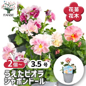 yz RNV pW[ErI V{h[ y ԕc 3.5 z rI X~ ݂̉ ԕc ȒP͔| Ԃ̕c Ă₷ Ԓd  A t[ IV C