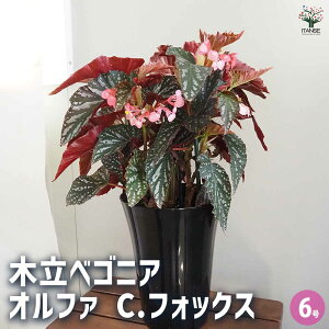 y}\N[|zzzؗxSjA It@ C.tHbNX y ϗtA 6^1 z CeA ItBX rO     S A Ă₷ ĕ C^Z