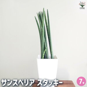 yzTXxA X^bL[ y ϗtA 7^1 z rO ItBX  CeA j Vzj zj j V