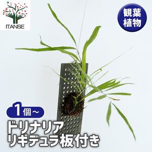 yzhiA Mft y ϗtA^1 z rO ItBX  CeA ^  S Ă₷ K[fjO j j Vzj zj 