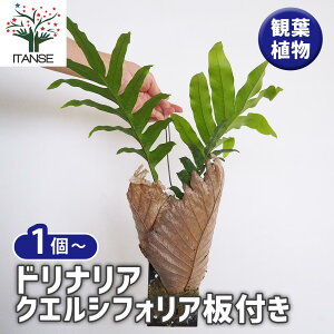 yzhiA NGVtHAt y ϗtA ^1 z rO ItBX  CeA ^  S Ă₷ K[fjO j j Vzj z