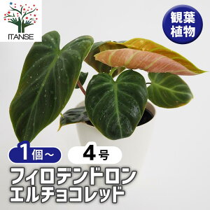 yztBfh G`Rbh y ϗtA 4^1 z tBf rO ItBX  CeA 