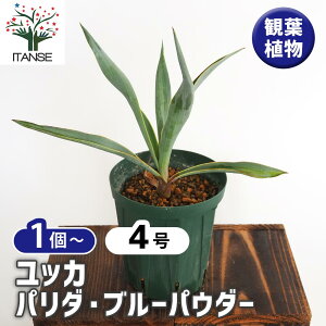 yz bJ p_ u[pE_[ y ϗtA 4 z  rO  ^  j CeAO[ K̖