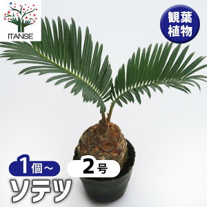 yz\ec y ϗtA 2 z ϗtA ][gK[f gsJ MѐA hCK[f AWA o nCA rO ItBX CeA ^  IV 