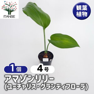 yz A}][ ([`XOfBt[) y ϗtA 4^1 z [`X  IV  ӏ Ϗ CeA ItBX rO   