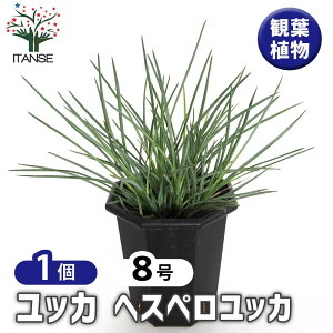 yz bJ wXybJ y ϗtA 8^1 z  rO  ^  j CeAO[ K̖