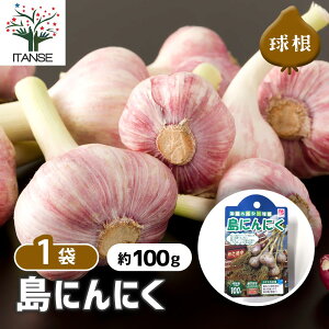 ySSԑSi10OFFzɂɂ ɂɂ틅 ؂̕c lbglߖ؋ [U100g 1 1 jjN f Y ꌧY 틅 틅 ɂɂ ɂɂ jjN 
