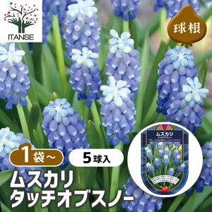 yz  XJ ^b`IuXm[ y ԋ 5 z ԋ ̉ A nA K[fjO