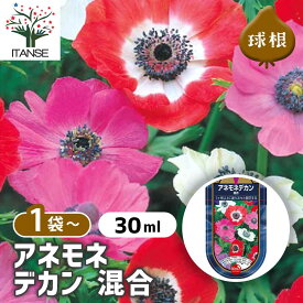 【送料無料】 球根 アネモネ デカン 混合 《 花球根 30ML 》 ボタンイチゲ ベニバナナオキナグサ お花 園芸品種 寄植え