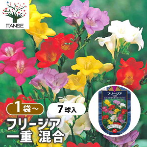 yz  t[WA d  y ԋ 7 z  ԋ A イ LER K[fjO A ͔|  A nA A x_