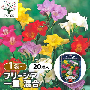 yz  t[WA d  y ԋ 20 z  ԋ A イ LER K[fjO A ͔|  A nA A x_