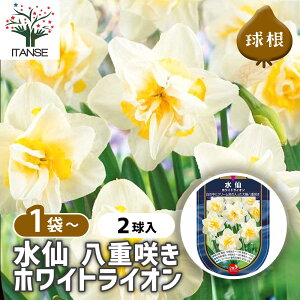 yz  唪d炫 zCgCI y ԋ 2 z ԋ ̉ A nA K[fjO