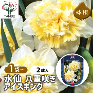 yz  唪d炫 ACXLO y ԋ 2 z ԋ ̉ A nA K[fjO