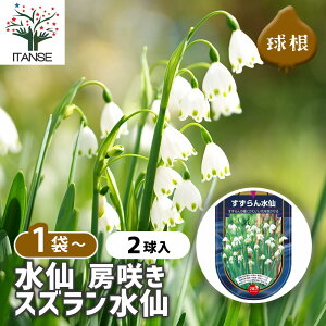 yz  [炫 XY y ԋ 2 z ԋ ̉ A nA K[fjO