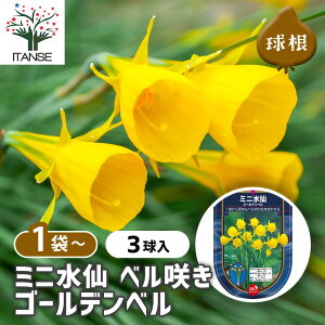 yz  x炫~j S[fx y ԋ 3 z ԋ ̉ A nA K[fjO