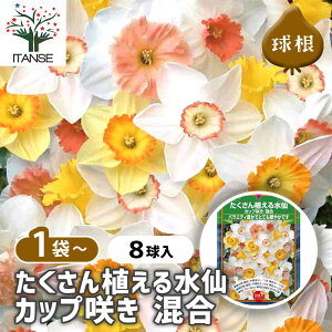 yz  A鐅 Jbv炫  y ԋ 8 z ԋ ̉ A nA K[fjO