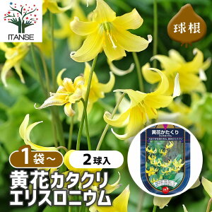 yz  J^N ԃJ^N y ԋ 2 z ԋ ̉ A nA K[fjO