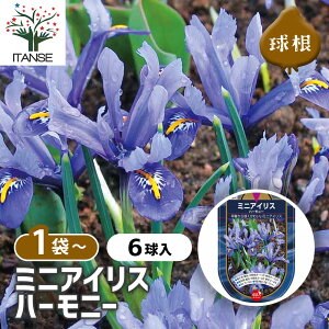 yz  ~jACX n[j[ y ԋ 6 z ԋ ̉ A nA K[fjO