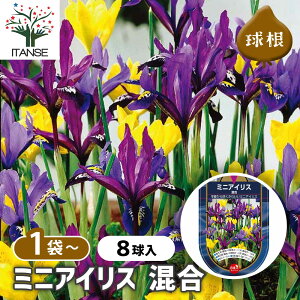 y10OFFSSԒz  ~jACX  y ԋ 8 z ԋ ̉ A nA K[fjO