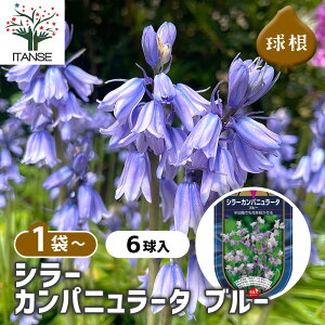 yz  V[ Jpj[^ u[ y ԋ 6 z ԋ ̉ A nA K[fjO