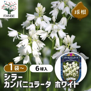 yz  V[ Jpj[^ zCg y ԋ 6 z ԋ ̉ A nA K[fjO