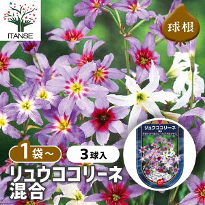 yz  ERR[l  y ԋ 3 z ԋ ̉ A nA K[fjO