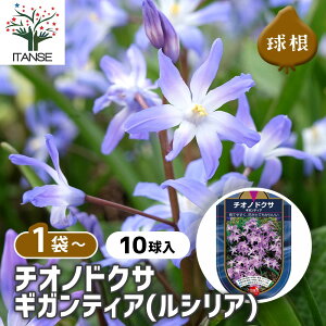 yz ԋ `ImhNT MKeBA(VAG) y ԋ 10 z ̉ A nA K[fjO