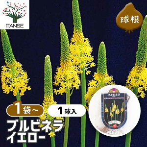 yz ԋ url CG[ y ԋ 1 z ̉ A nA K[fjO