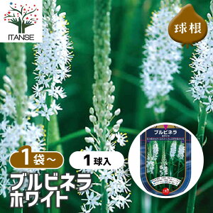 y10OFFSSԒz ԋ url zCg y ԋ 1 z ̉ A nA K[fjO