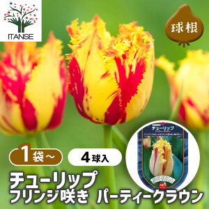 yz ԋ `[bv tW炫 p[eB[C y ԋ 4 z ̉ A nA K[fjO