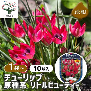 yz ԋ `[bv n gr[eB[ y ԋ 10 z ̉ A nA K[fjO